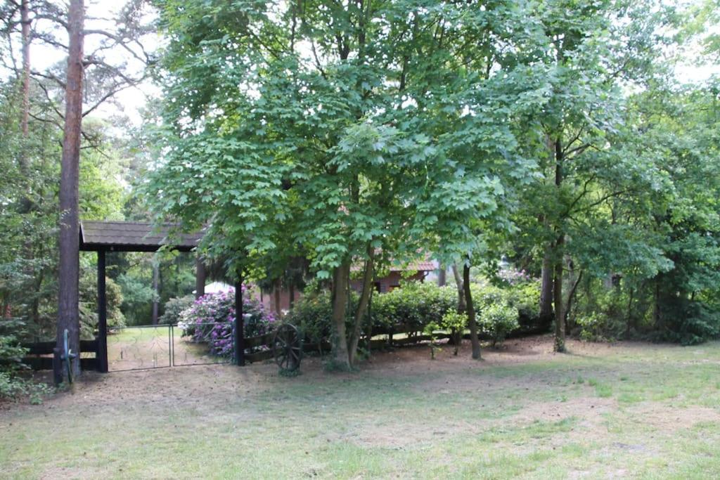 Ferienhaus Am Waldesrand Hatten Екстер'єр фото
