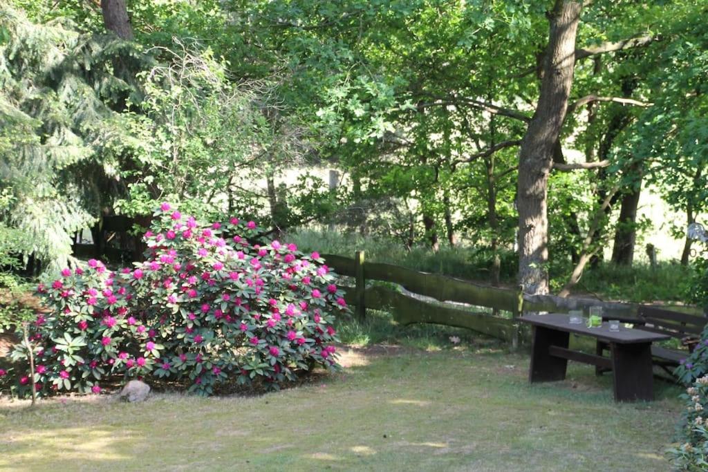Ferienhaus Am Waldesrand Hatten Екстер'єр фото