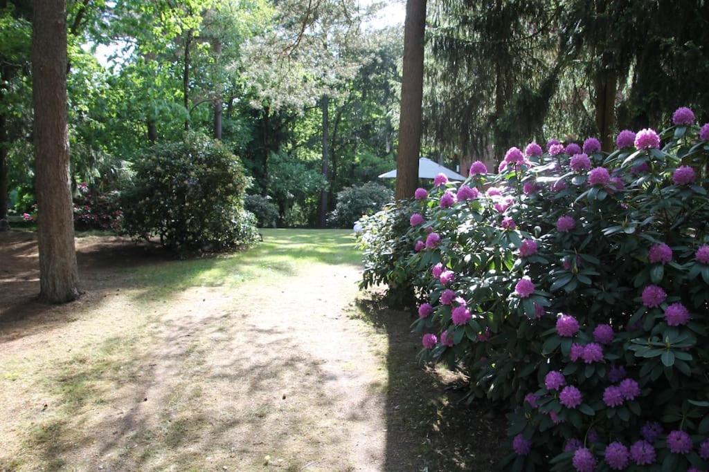 Ferienhaus Am Waldesrand Hatten Екстер'єр фото
