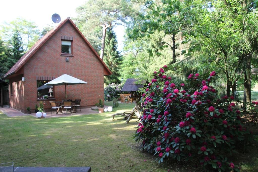 Ferienhaus Am Waldesrand Hatten Екстер'єр фото